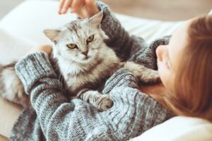 Strona główna 25 Benefits of Being a Cat Owner