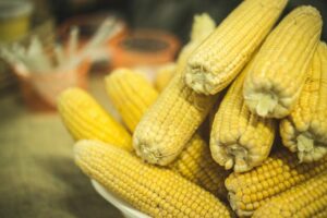 Strona główna 10 corn 2251499 960 720