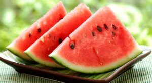 Strona główna 10 cultivar sandia en casa