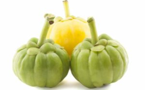 garcinia cambogia