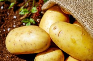 potatoes vegetables erdfrucht bio 162673 e1501184542338