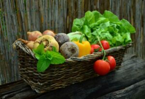 Strona główna 18 vegetables vegetable basket harvest garden e1501518157604