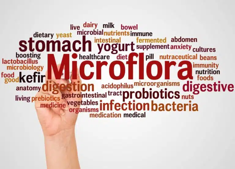 Wpływ mikrobiomu jelitowego na utratę wagi i zdrowie metaboliczne